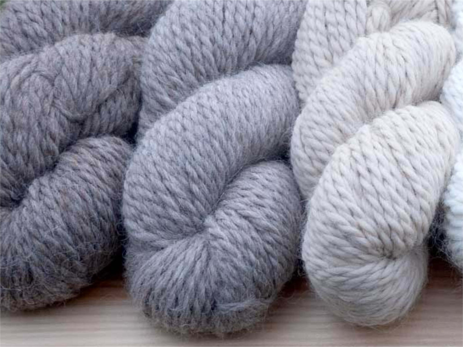 Auf die Nadeln geschaut: Babyalpaca Los Andes