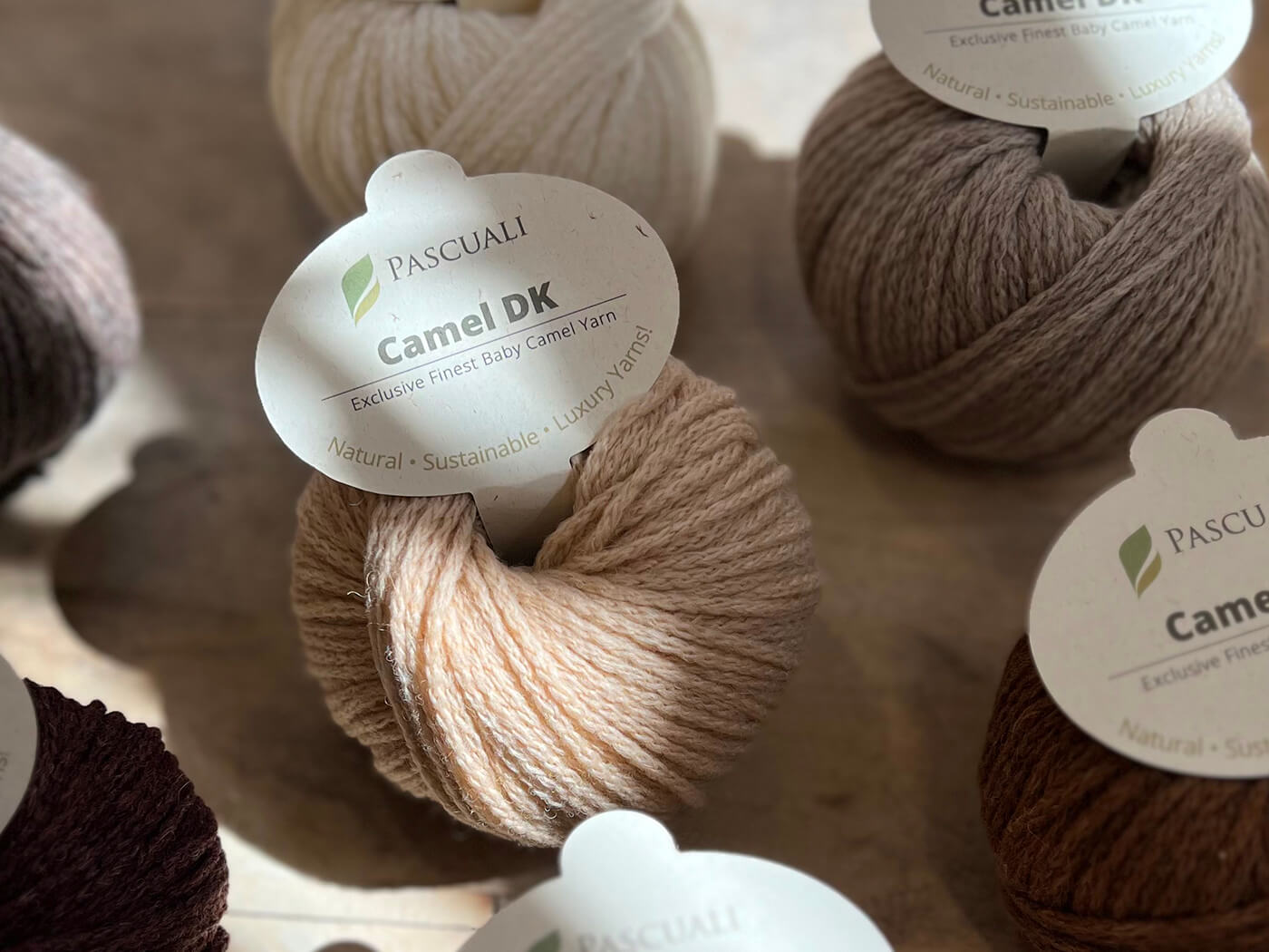 Auf die Nadeln geschaut … Camel DK - Pascuali
