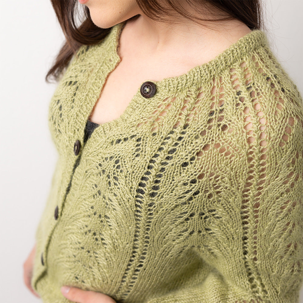 PATTERN | CARDIGAN EYED FERN